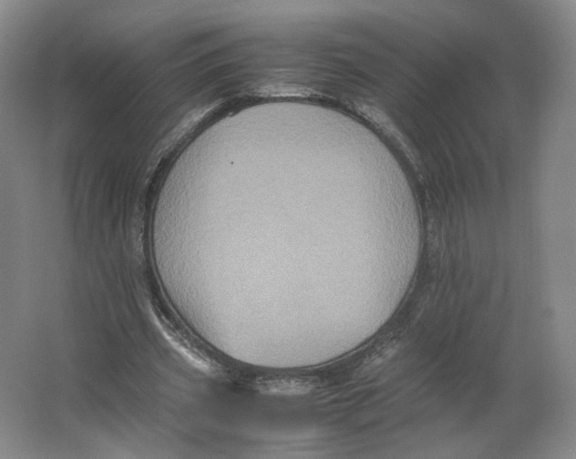 X0000063440533200602101625