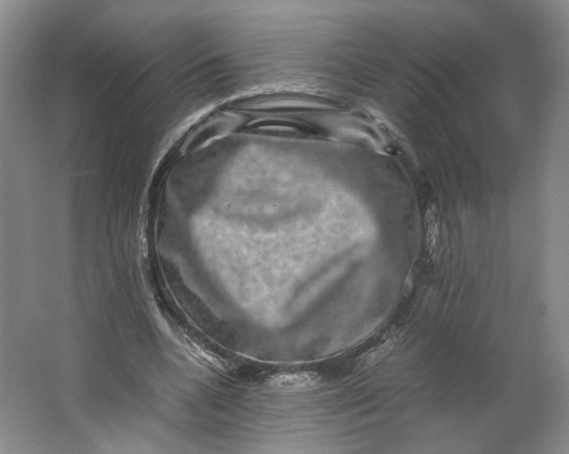 X0000063440536200602101625