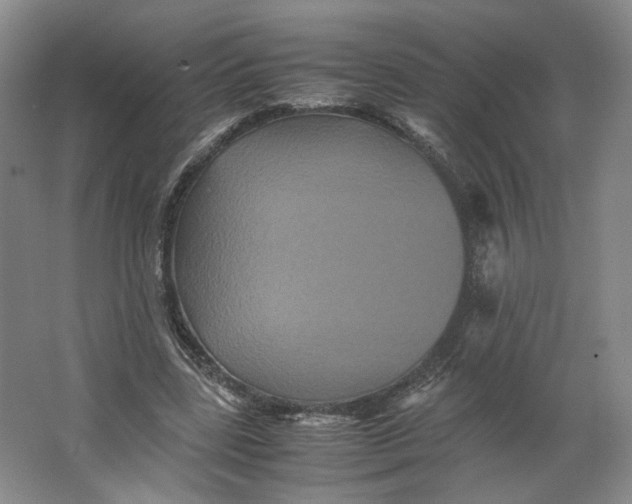 X0000063440539200602101625
