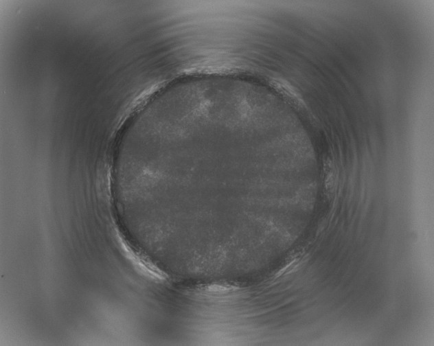 X0000063440542200602101625