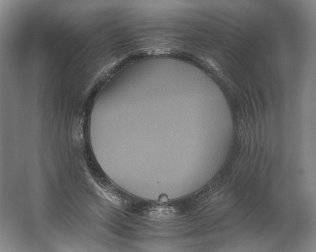 X0000063440543200602101625