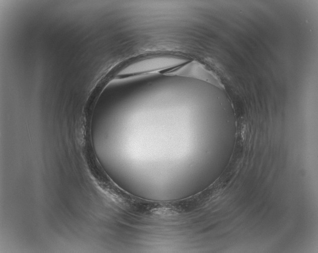 X0000063440544200602101625