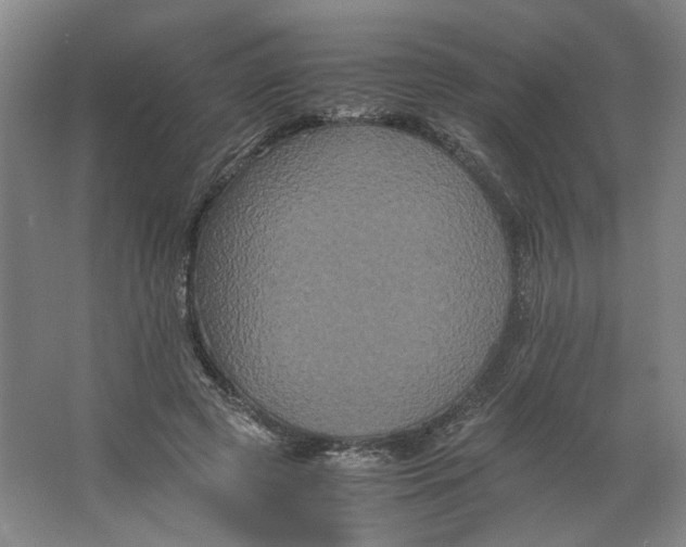 X0000063440545200602101625