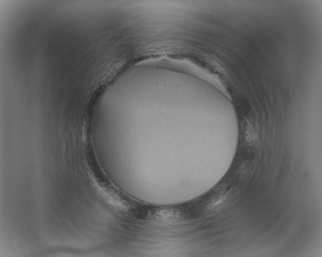 X0000063440546200602101625