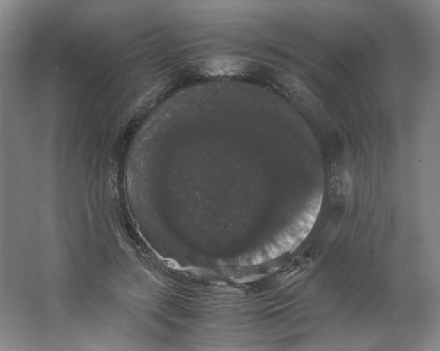 X0000063440547200602101625