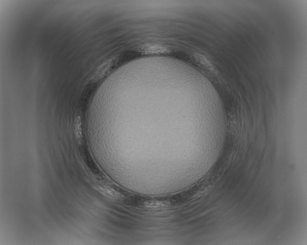 X0000063440549200602101625