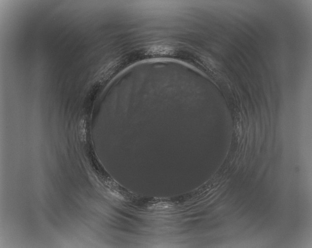 X0000063440551200602101625