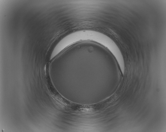 X0000063440552200602101625