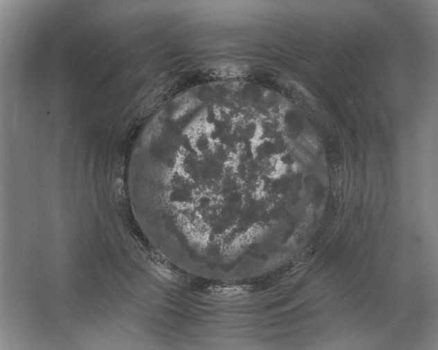 X0000063440553200602101625