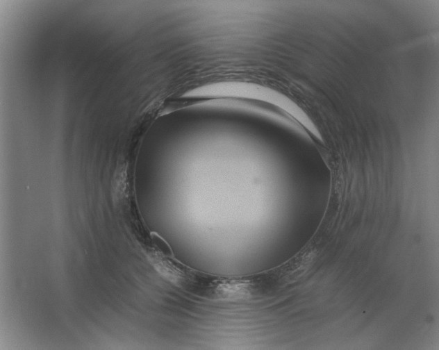 X0000063440560200602101625