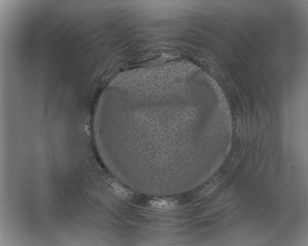 X0000063440561200602101625
