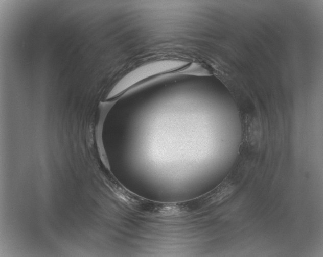 X0000063440562200602101625
