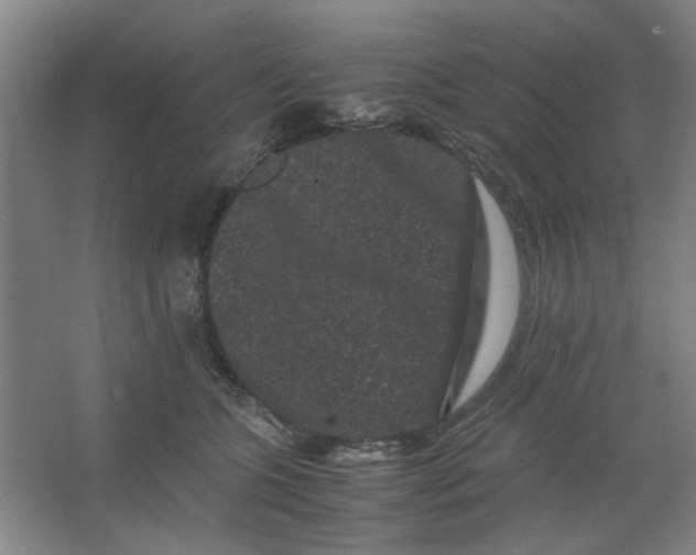X0000063440563200602101625