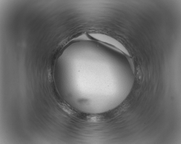 X0000063440564200602101625