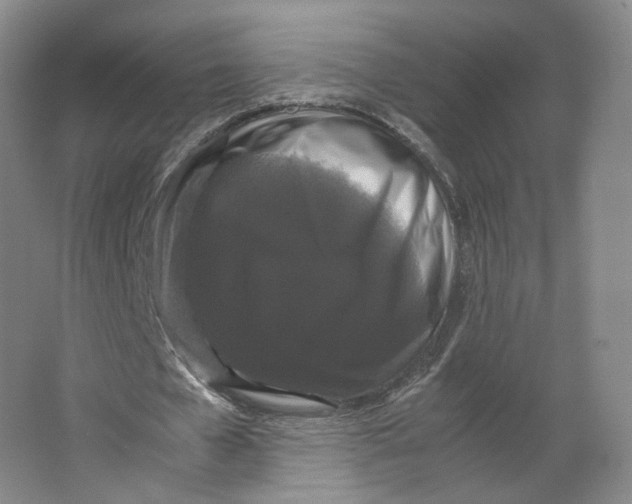 X0000063440577200602101625