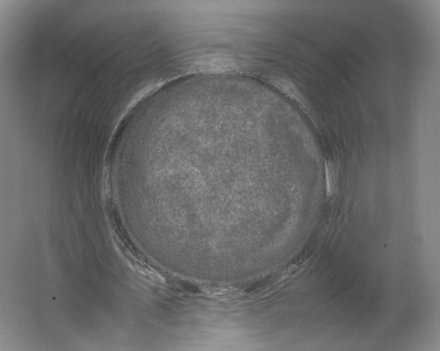 X0000063440579200602101625