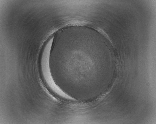 X0000063440581200602101624