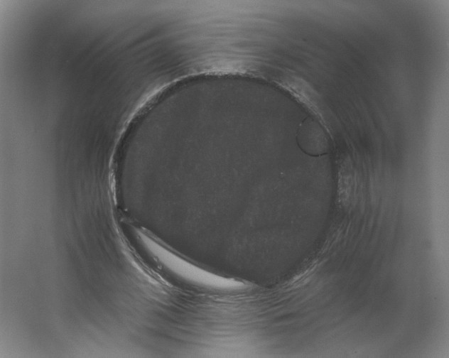 X0000063440584200602101624