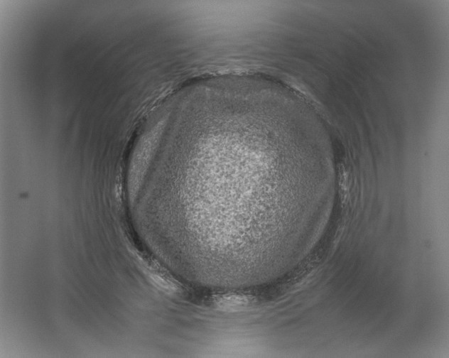 X0000063440593200602101624