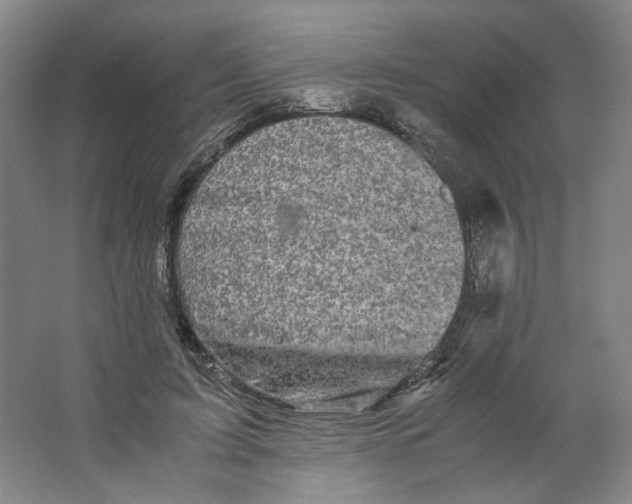 X0000063440595200602101624