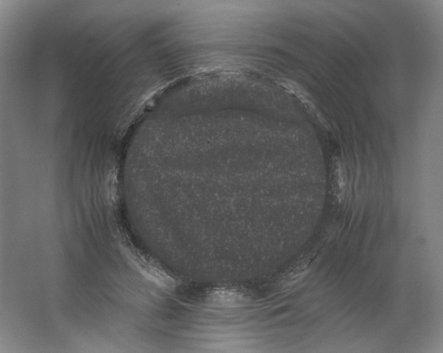X0000063440596200602101624