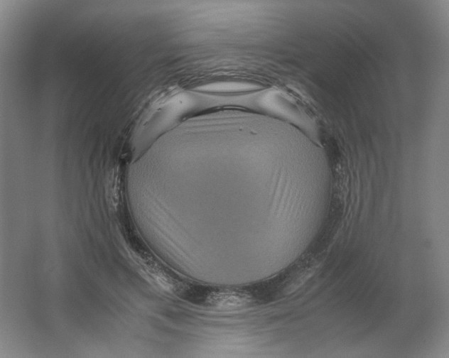 X0000063440597200602101624
