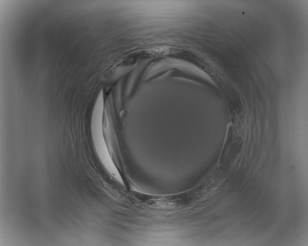 X0000063440601200602101624