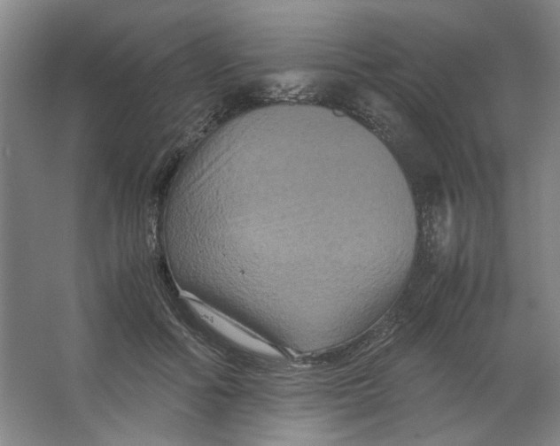 X0000063440602200602101624