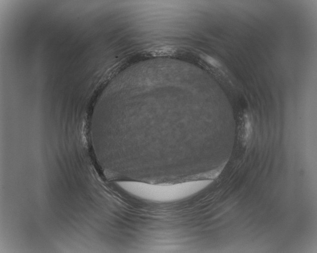 X0000063440604200602101624