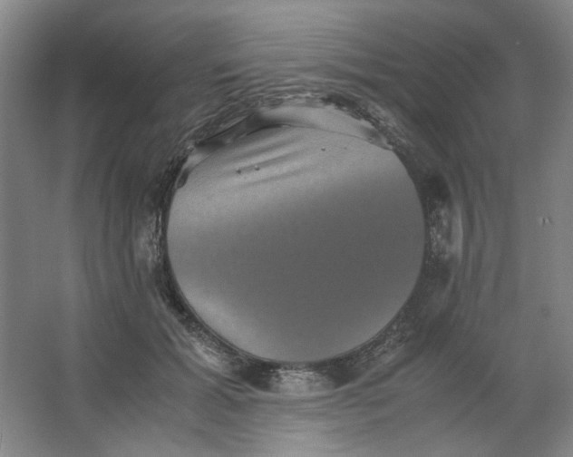 X0000063440605200602101624