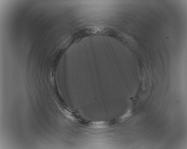 X0000063440607200602101624