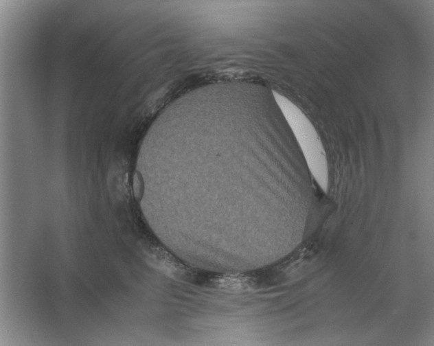 X0000063440615200602101624