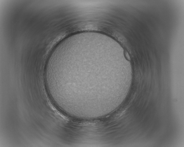 X0000063440625200602101623