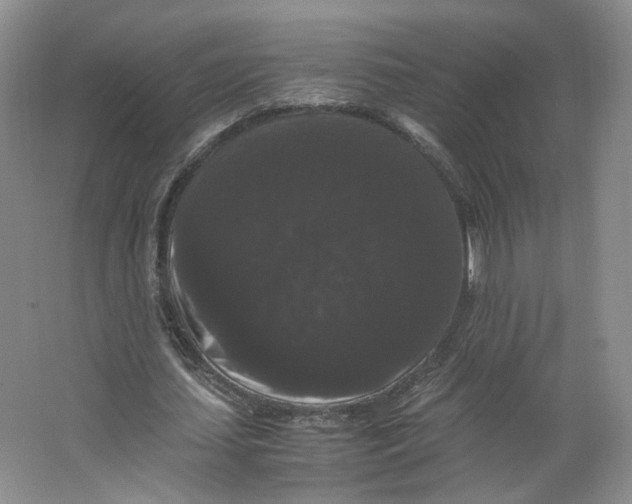 X0000063440627200602101623