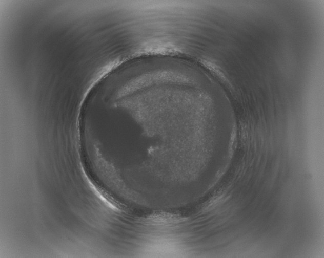 X0000063440630200602101623