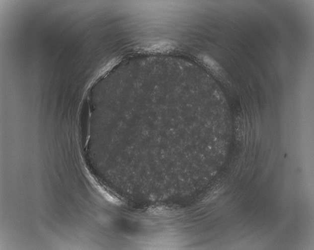 X0000063440634200602101623