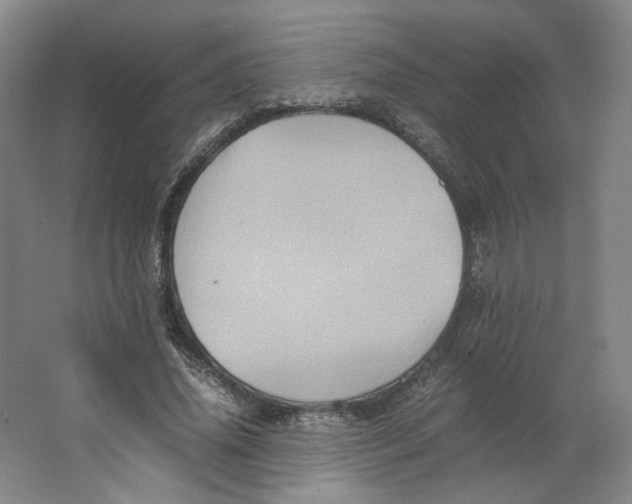 X0000063440636200602101623