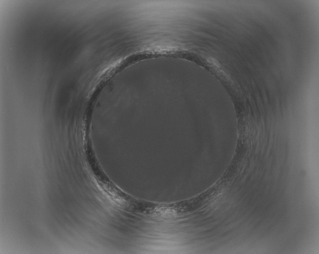 X0000063440640200602101623