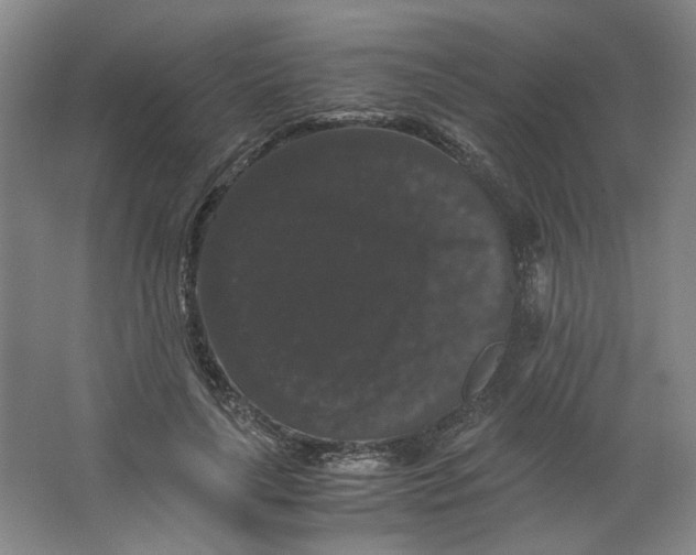 X0000063440643200602101623