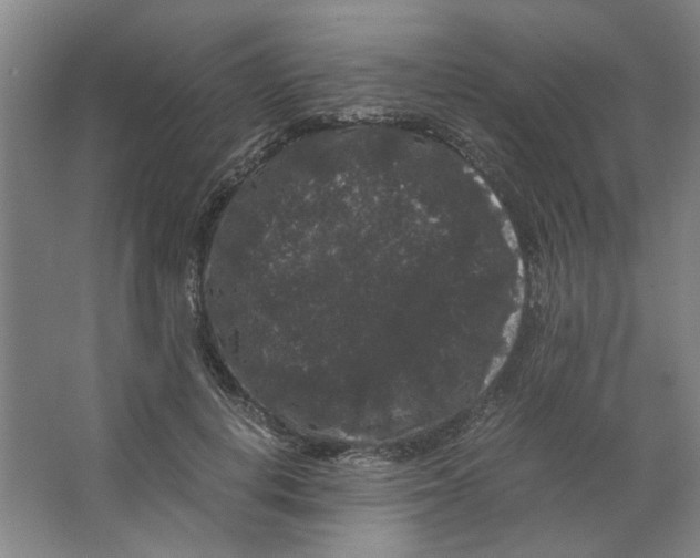 X0000063440648200602101623