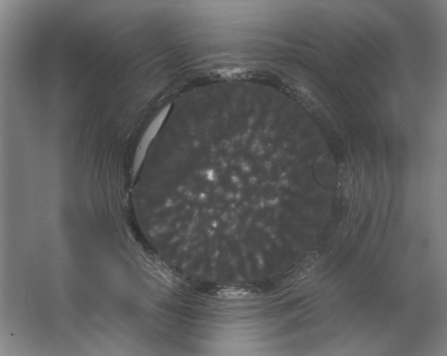 X0000063440650200602101623