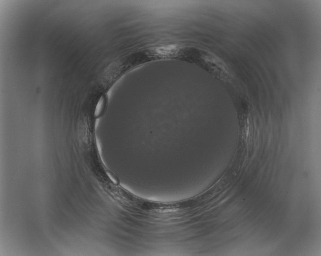X0000063440651200602101623