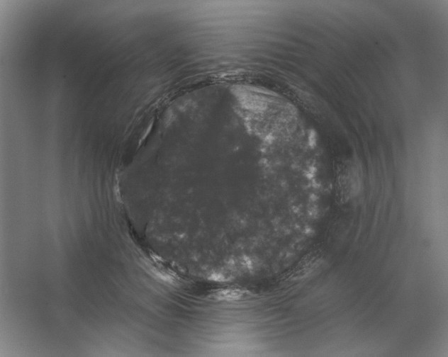 X0000063440654200602101623