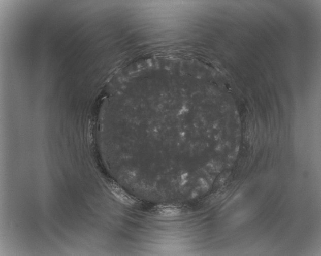 X0000063440658200602101623