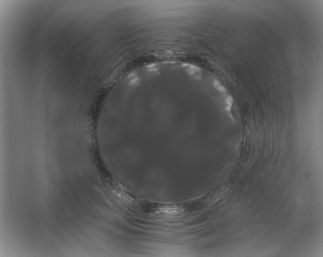 X0000063440659200602101623