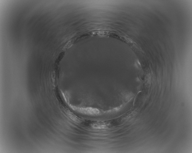 X0000063440661200602101624