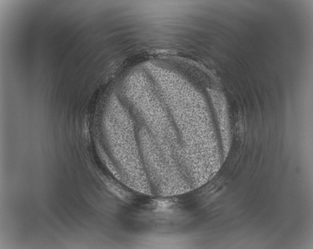 X0000063440662200602101624
