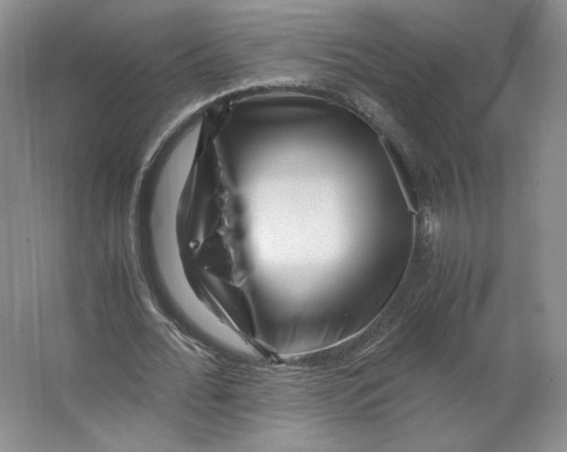 X0000063440676200602101623