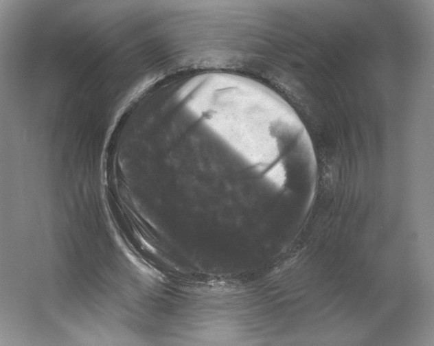 X0000063440678200602101623