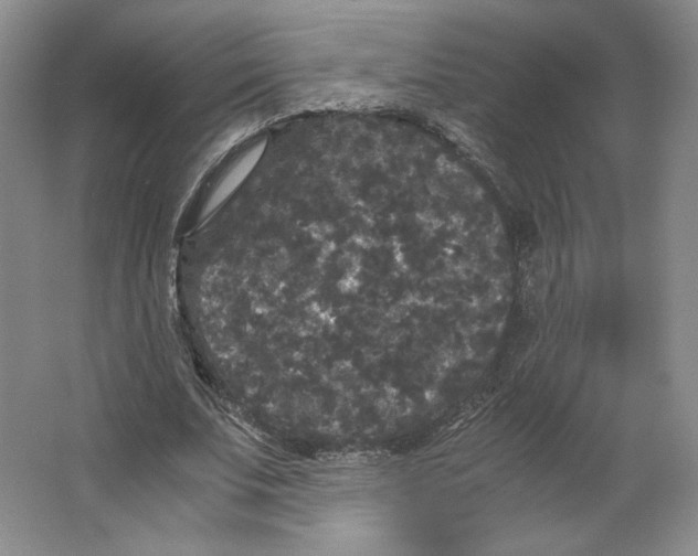 X0000063440679200602101623